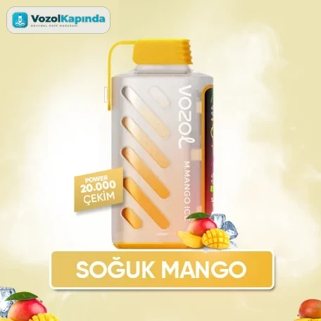 Vozol Gear Power 20000 Mexican Mango Ice