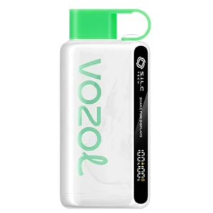 Vozol 12000 Strawberry Watermelon