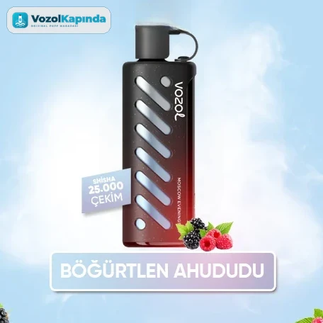 Vozol Gear Shisha 25000 Moscow Evening