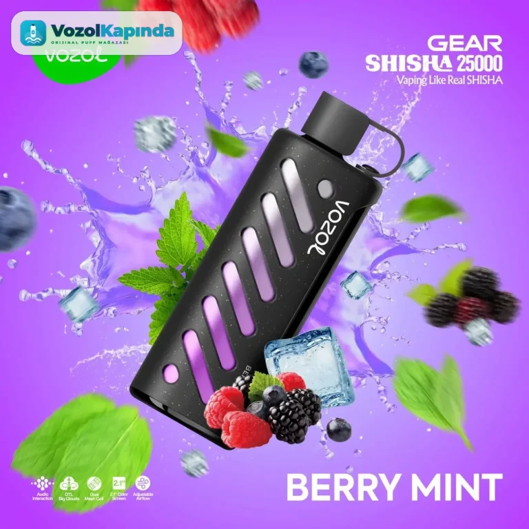Vozol Gear 25000 Berry Mint