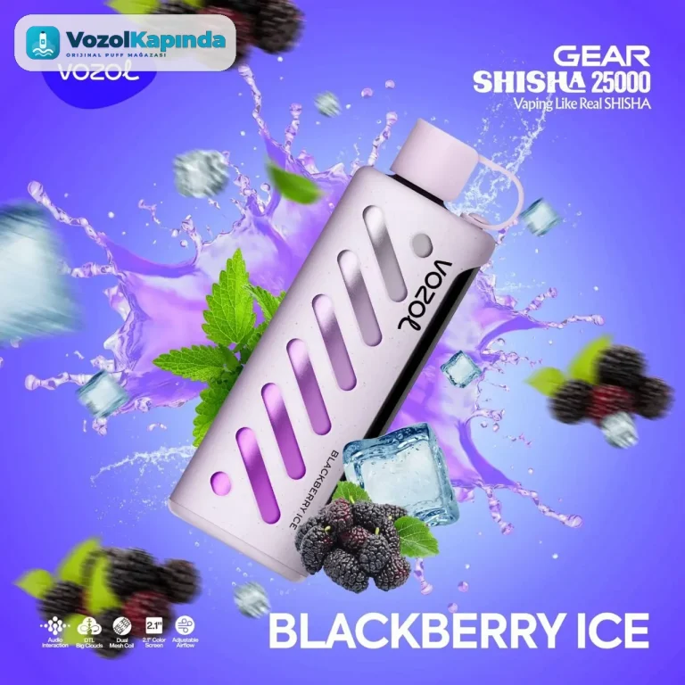 Vozol Gear 25000 Blackberry Ice