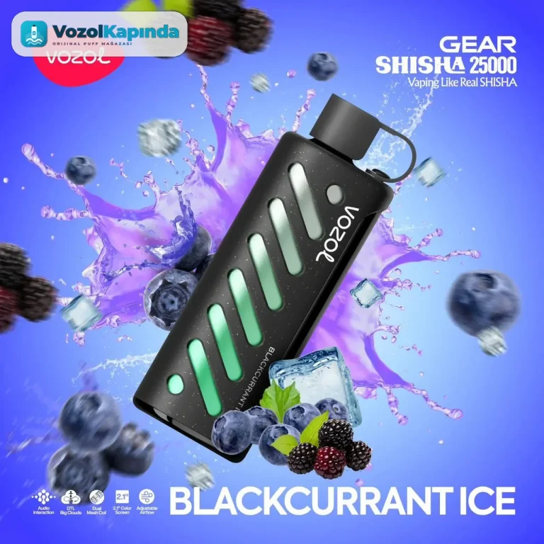 Vozol Gear 25000 Blackcurrant Ice
