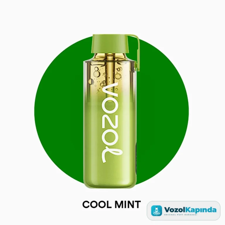 Vozol Neon 12000 Pro Cool Mint