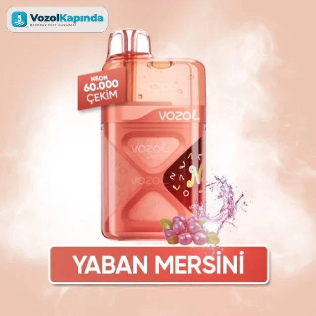 Vozol Neon 60000 Blueberry Energy