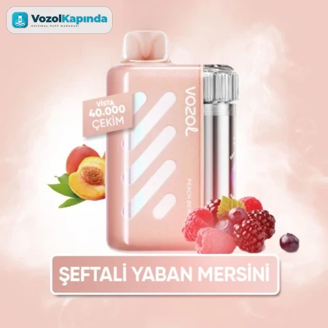 Vozol Vista 40000 Peach Berry