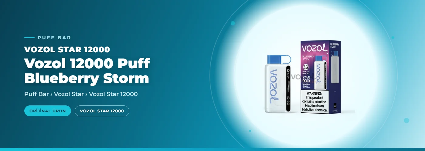 Vozol 12000 Puff Blueberry Storm