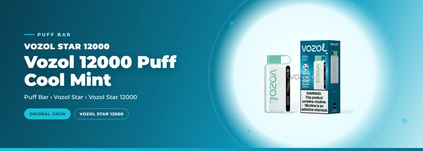 Vozol 12000 Puff Cool Mint