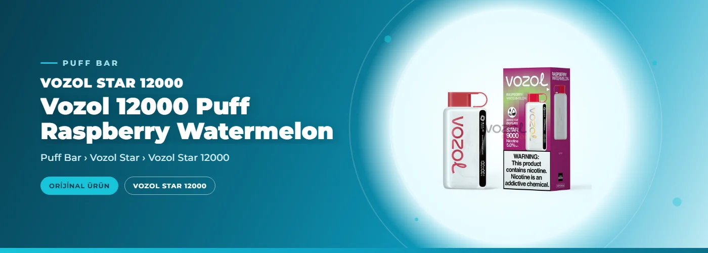 Vozol 12000 Puff Raspberry Watermelon