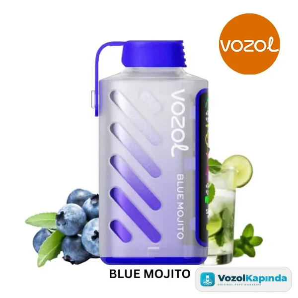 Vozol Gear Power 20000 Blue Mojito