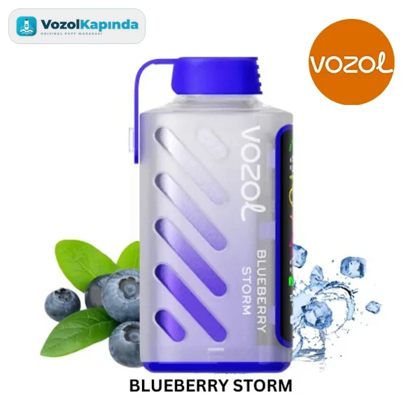Vozol Gear Power 20000