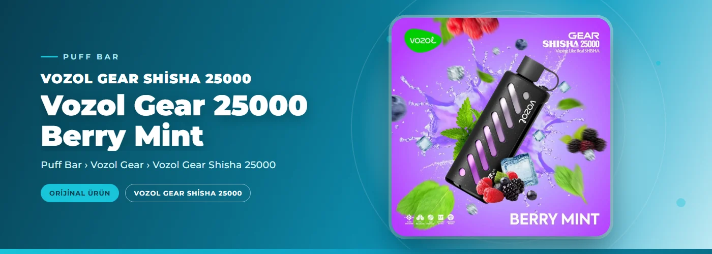 Vozol Gear 25000 Berry Mint