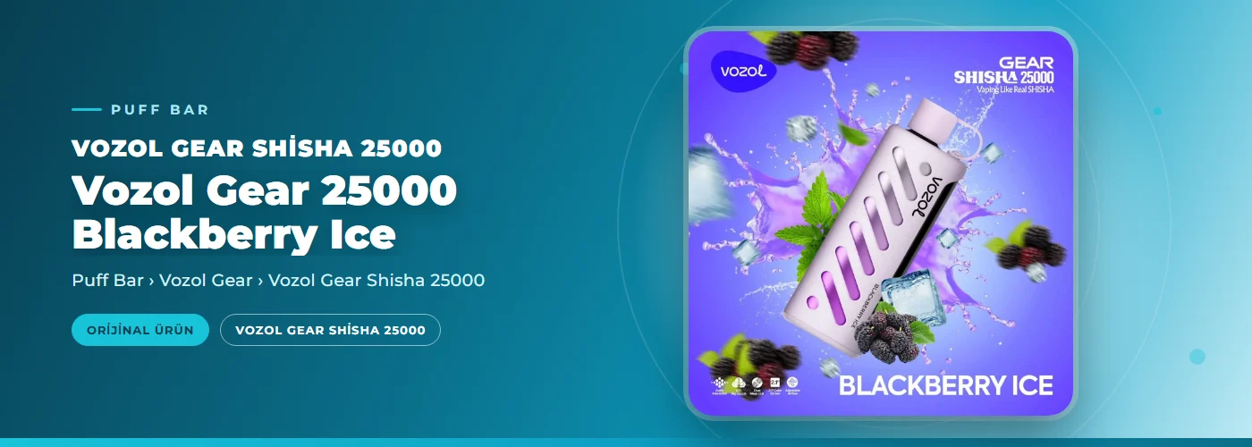 Vozol Gear 25000 Blackberry Ice
