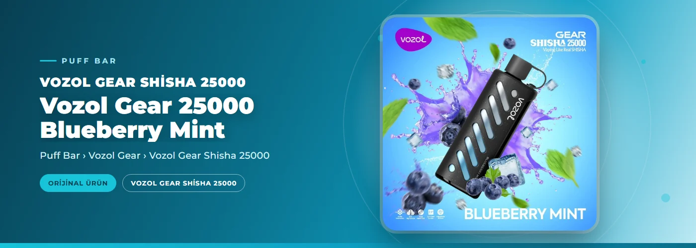 Vozol Gear 25000 Blueberry Mint