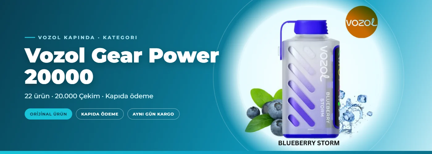 Vozol Gear Power 20000