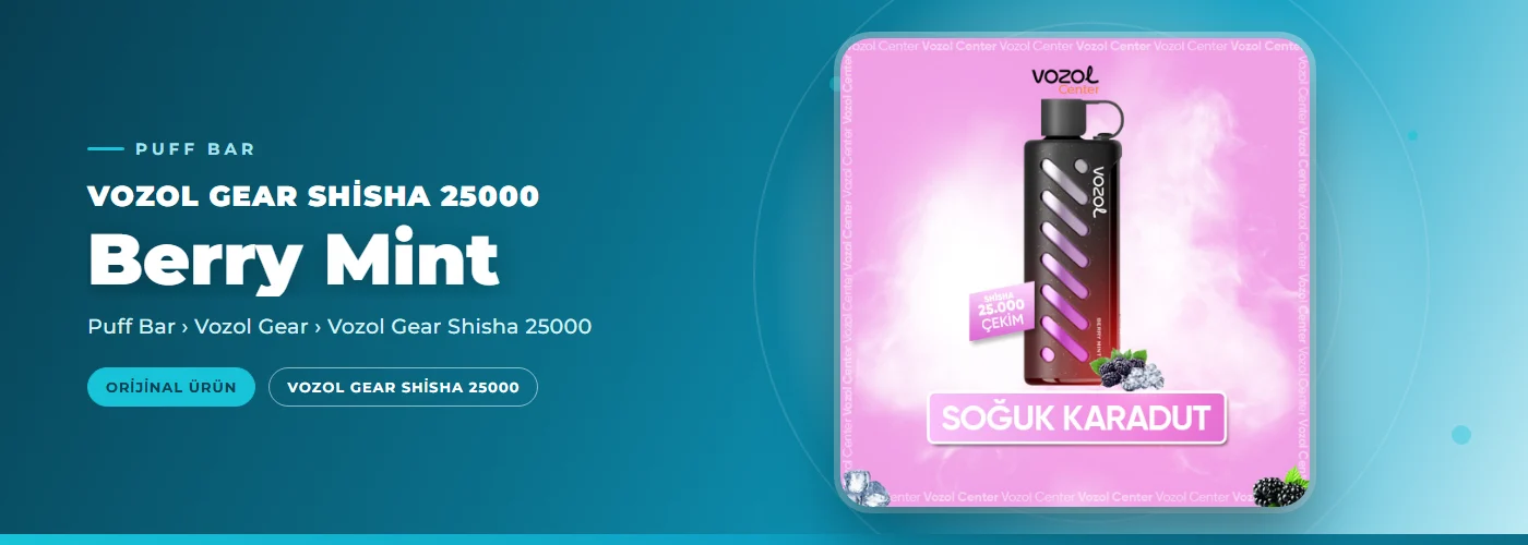 Vozol Gear Shisha 25000 Berry Mint
