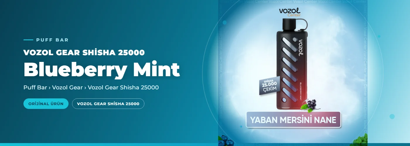 Vozol Gear Shisha 25000 Blueberry Mint