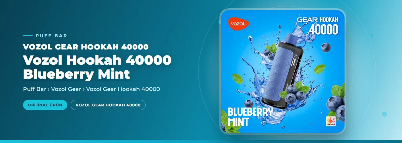 Vozol Hookah 40000 Blueberry Mint