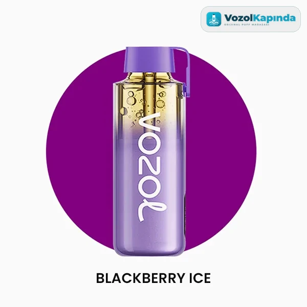 Vozol Neon 12000 Blackberry Ice