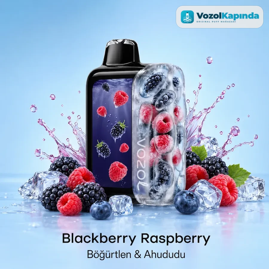 Vozol Rave 56000 Blackberry Raspberry